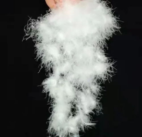 寶升家紡 年產(chǎn)20萬件羽絨制品項目 助跑 預計年產(chǎn)值同比增長233